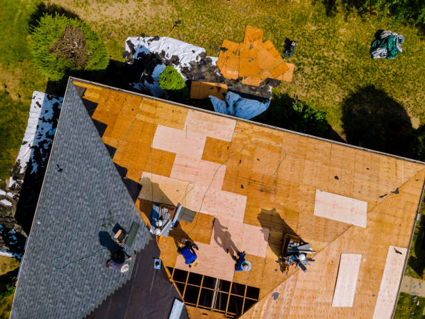 Best Metal Roofing Contractor  in Sevierville, TN